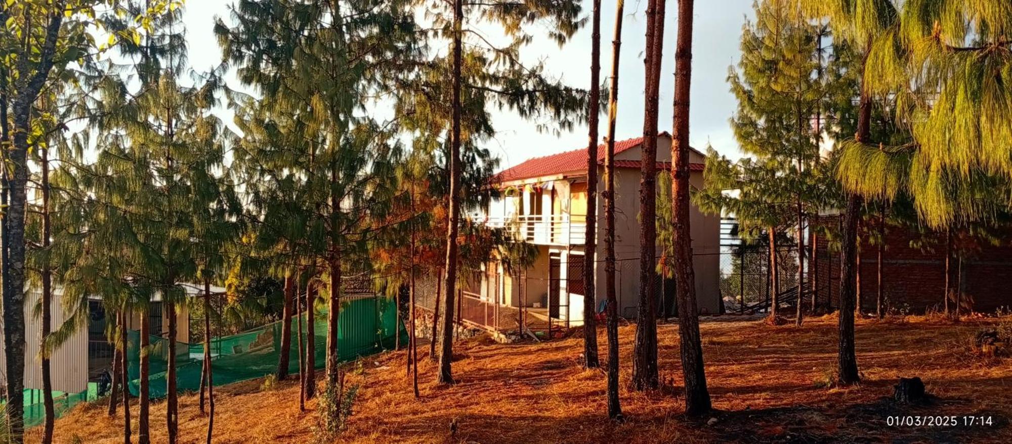 Campsite Everest Home Stay Apartment II Timal Kalimati Tower *