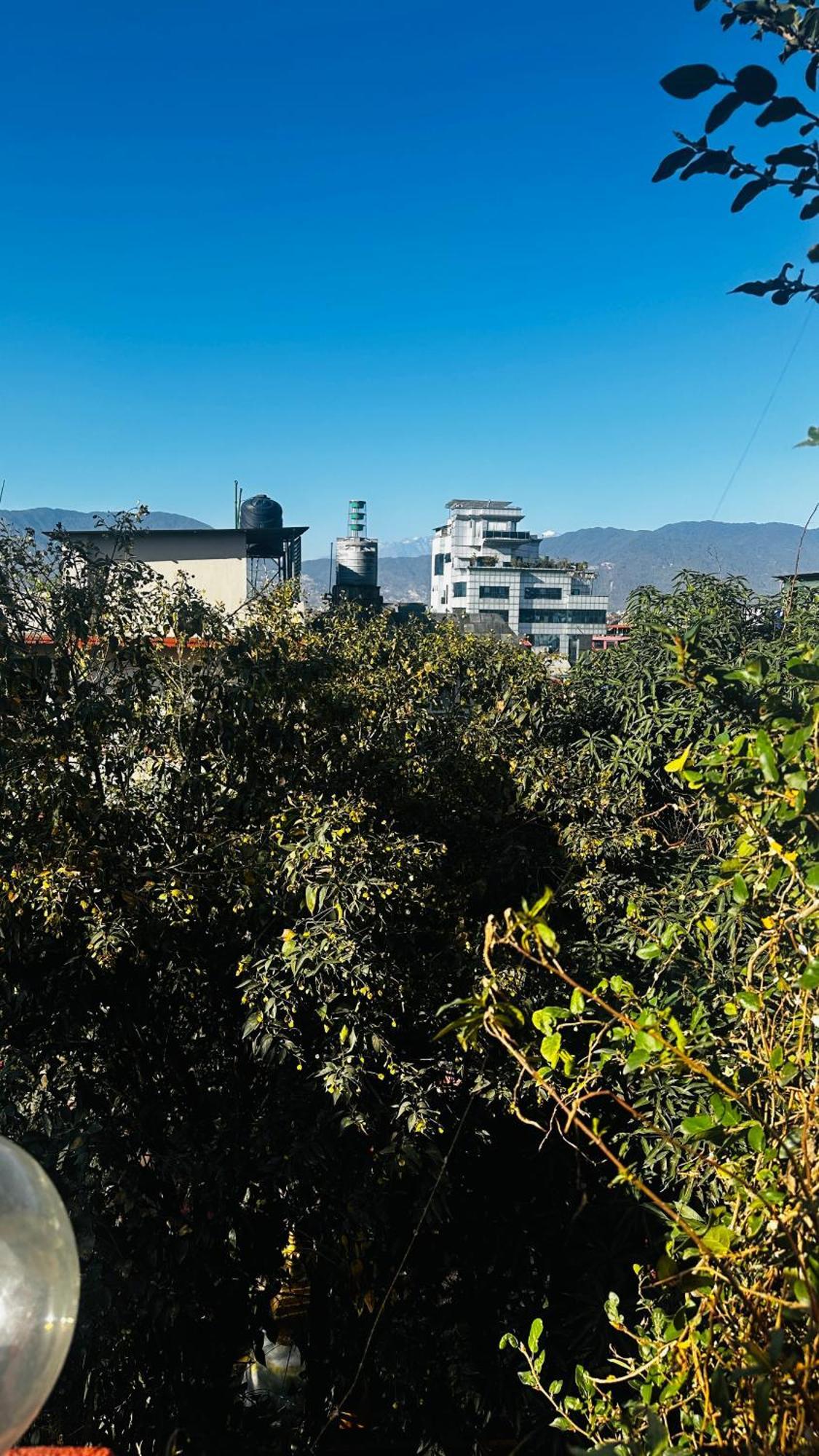 Institute Of Natural Medicine , Yoga & Therapy *