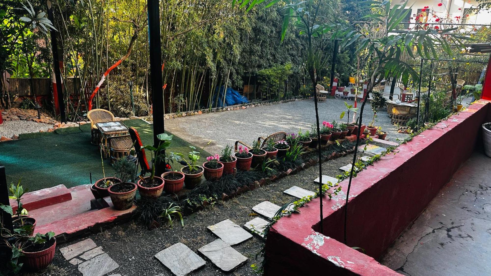Institute Of Natural Medicine , Yoga & Therapy Bed & Breakfast *