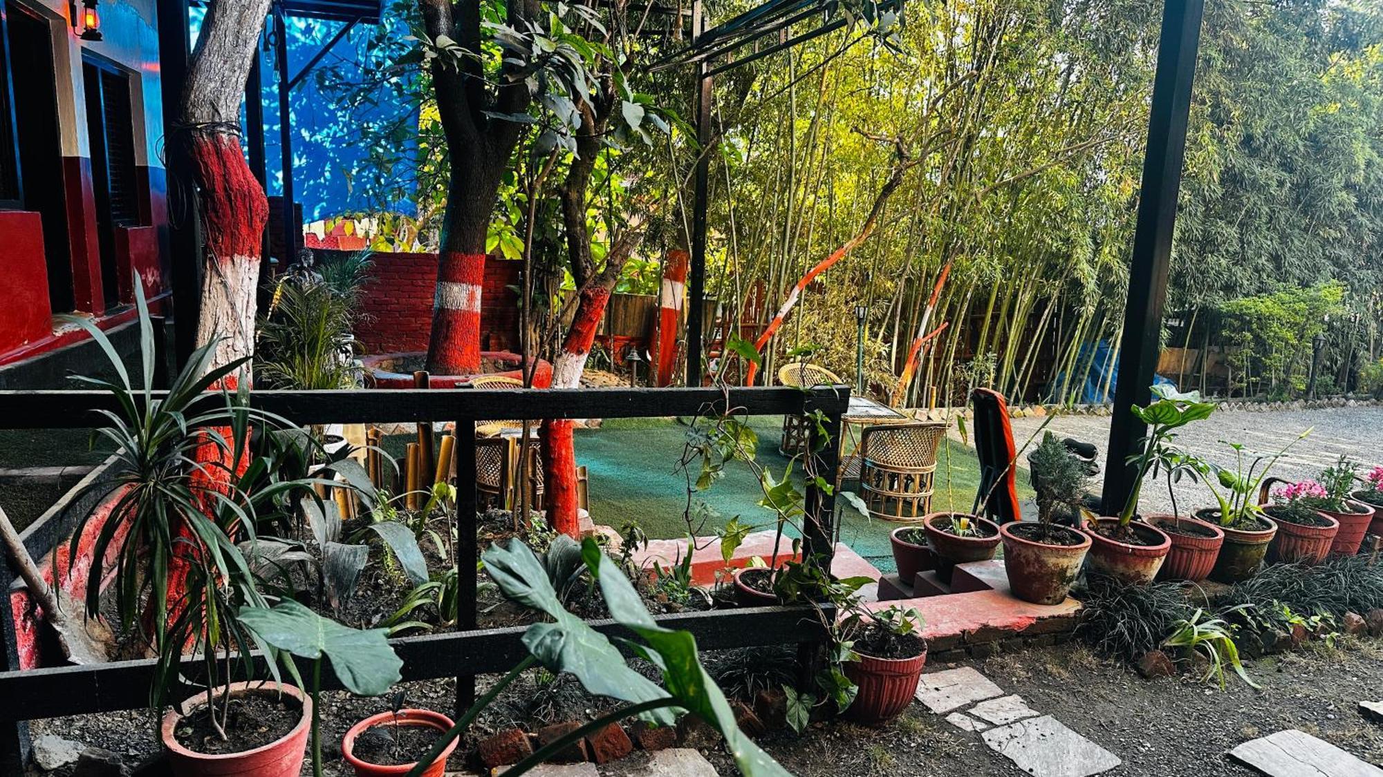 Bed & Breakfast Institute Of Natural Medicine , Yoga & Therapy *