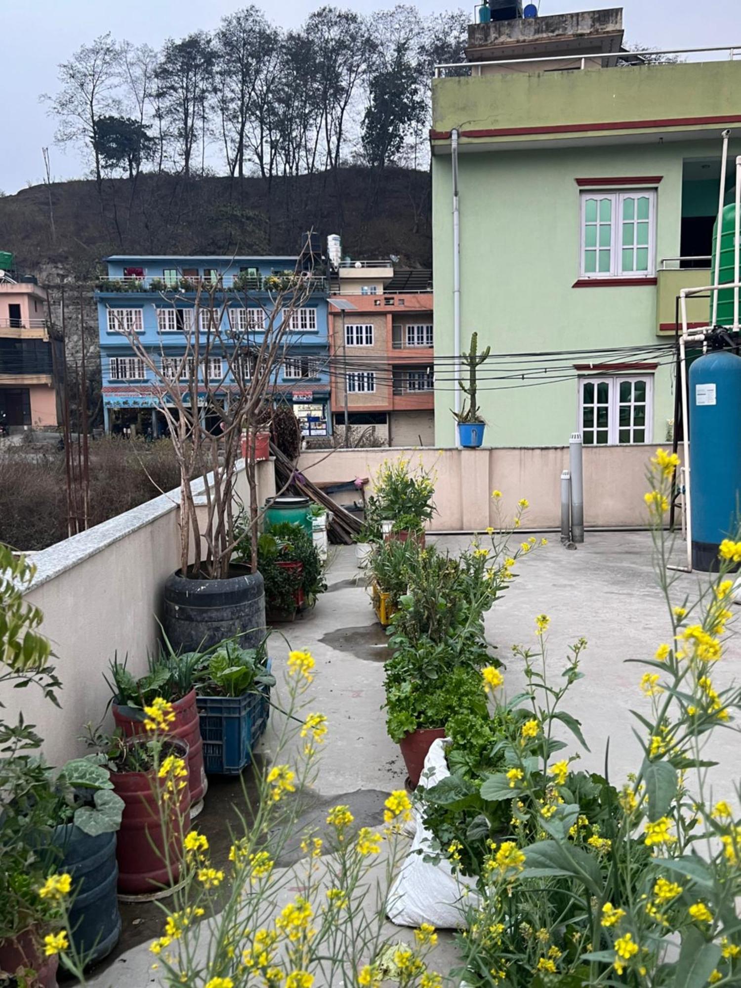 Danda Pari Homestay