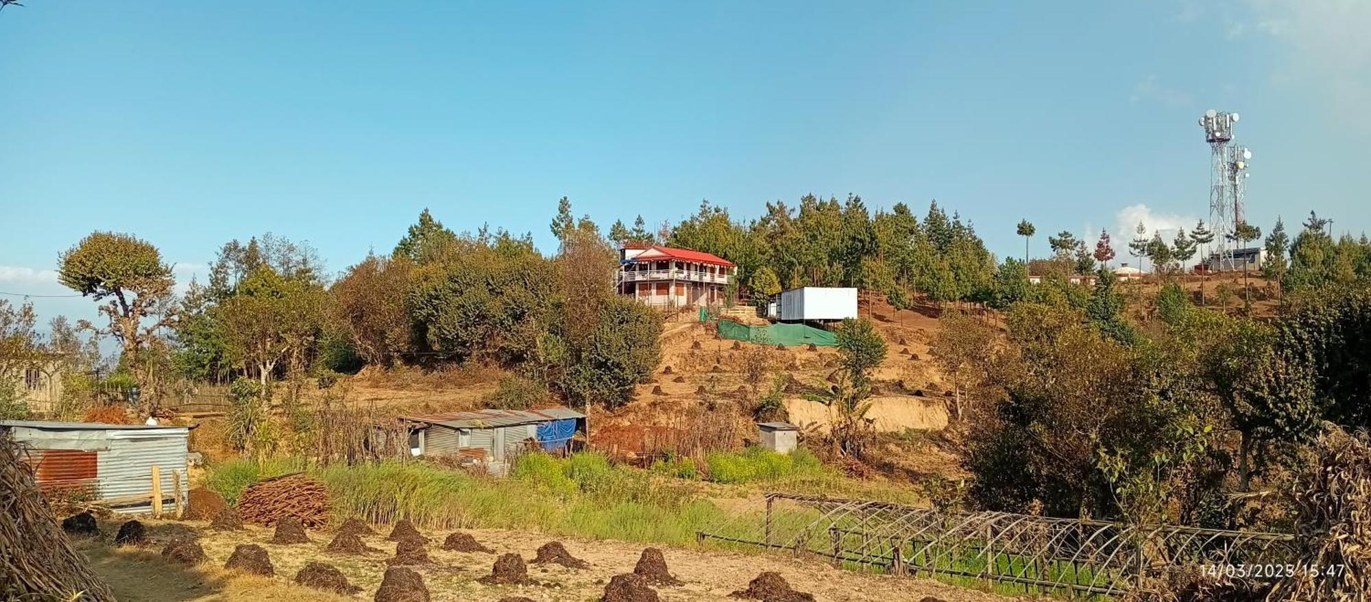 Everest Home Stay Apartment II Timal Kalimati Tower Campsite Kathmandu