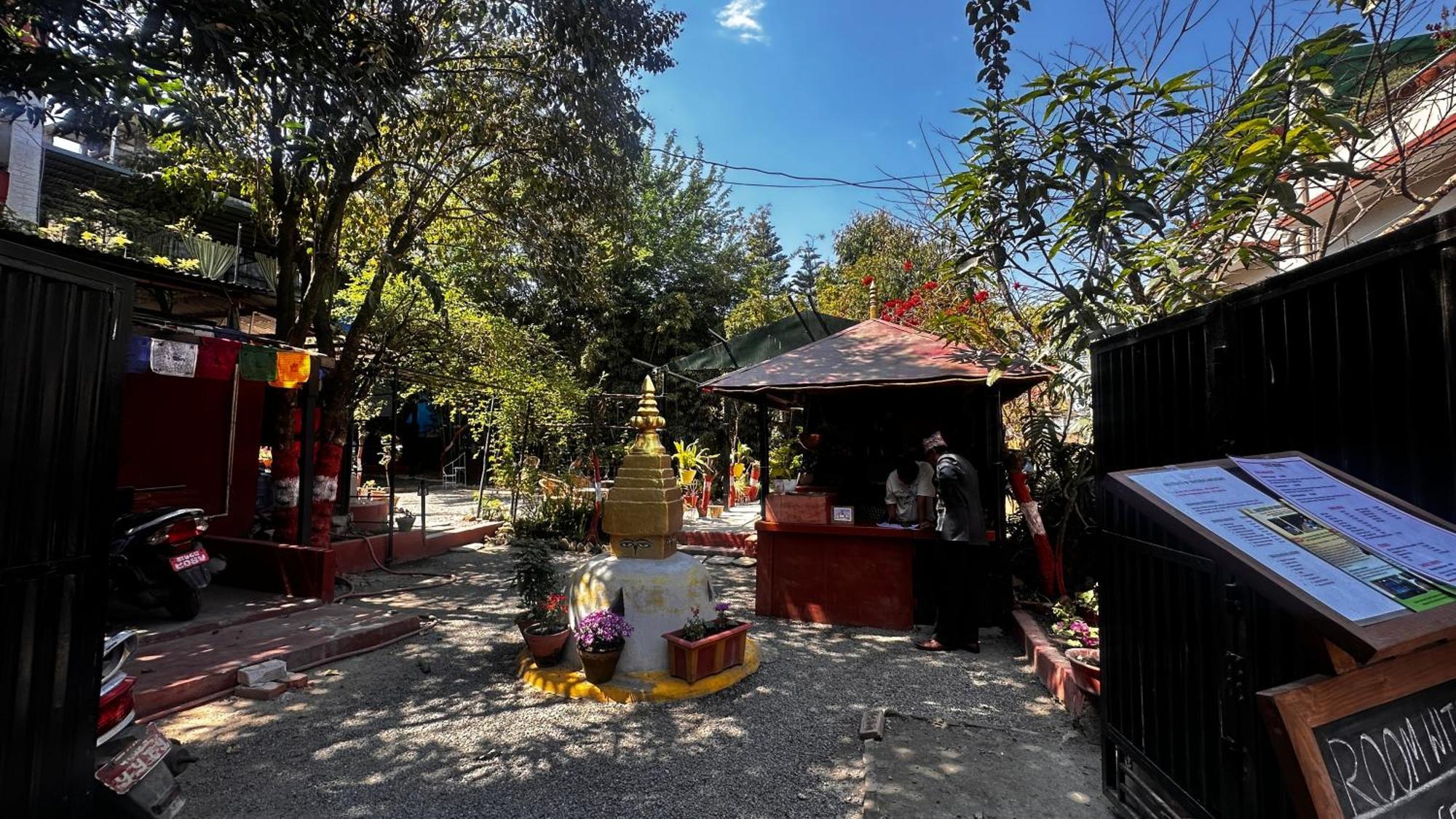 Institute Of Natural Medicine , Yoga & Therapy *