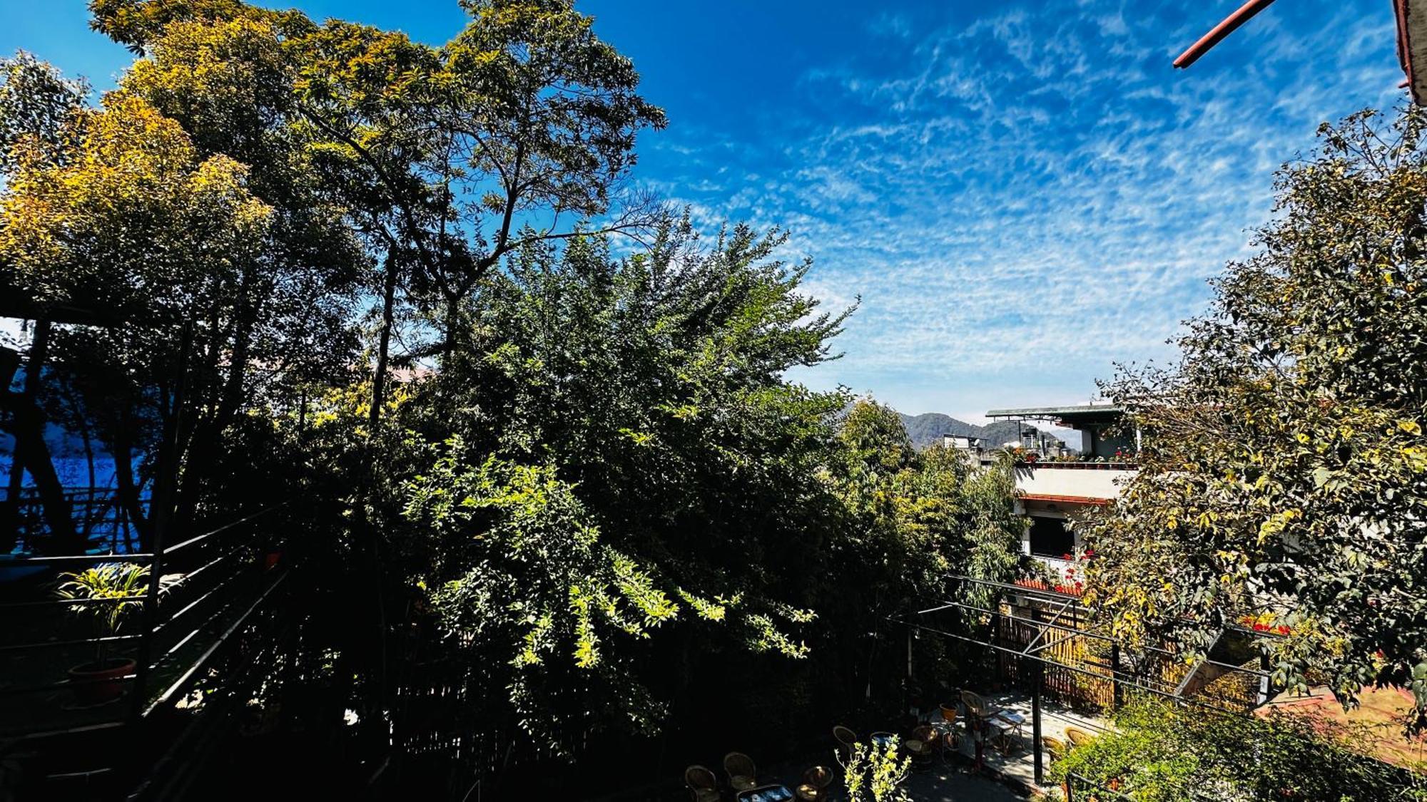 Institute Of Natural Medicine , Yoga & Therapy Bed & Breakfast *