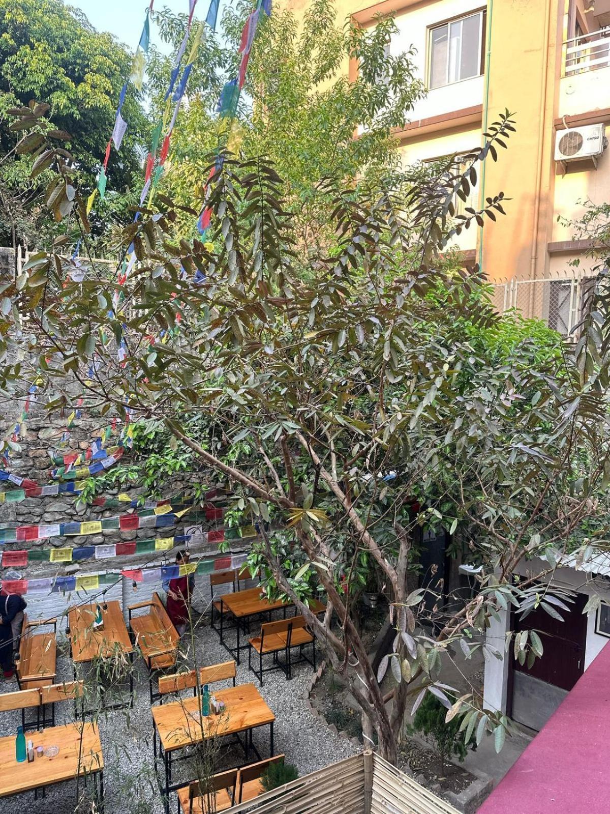 Bed & Breakfast Manang De Cafe *