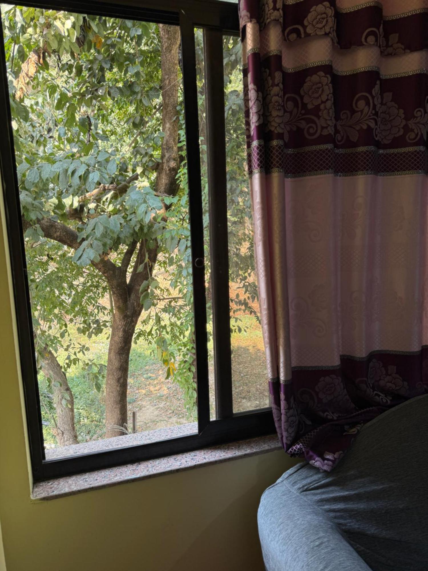 Snp House Near Forest, Fresh Air Apartment *