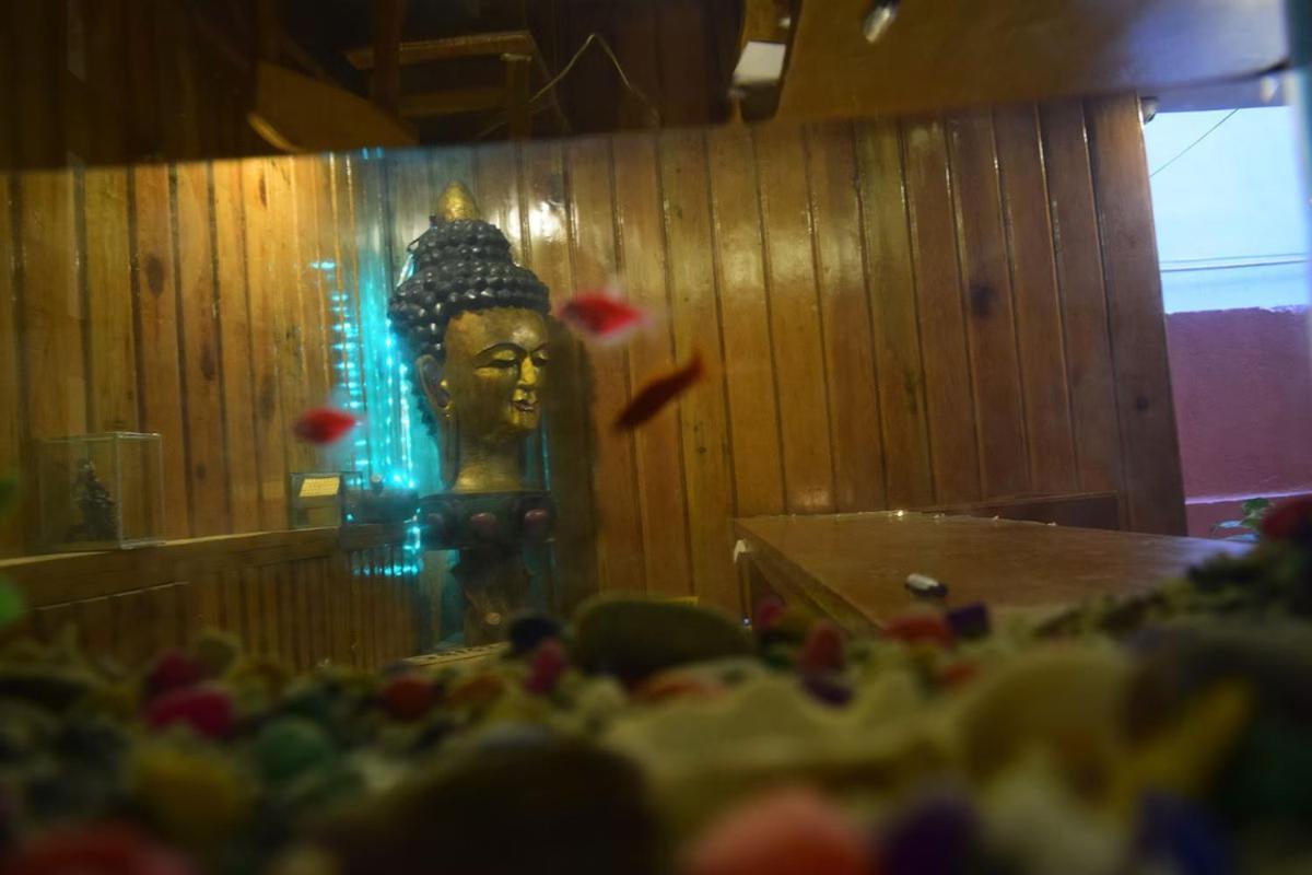 Hotel Shree Tara Catmandu