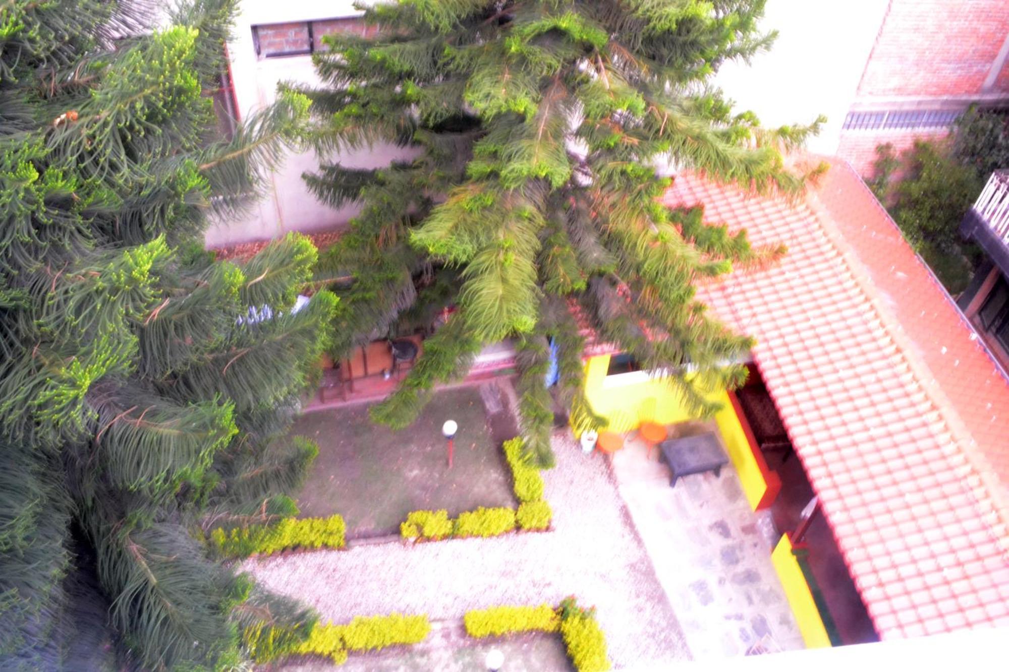 My Garden House Acomodação com café da manhã  *