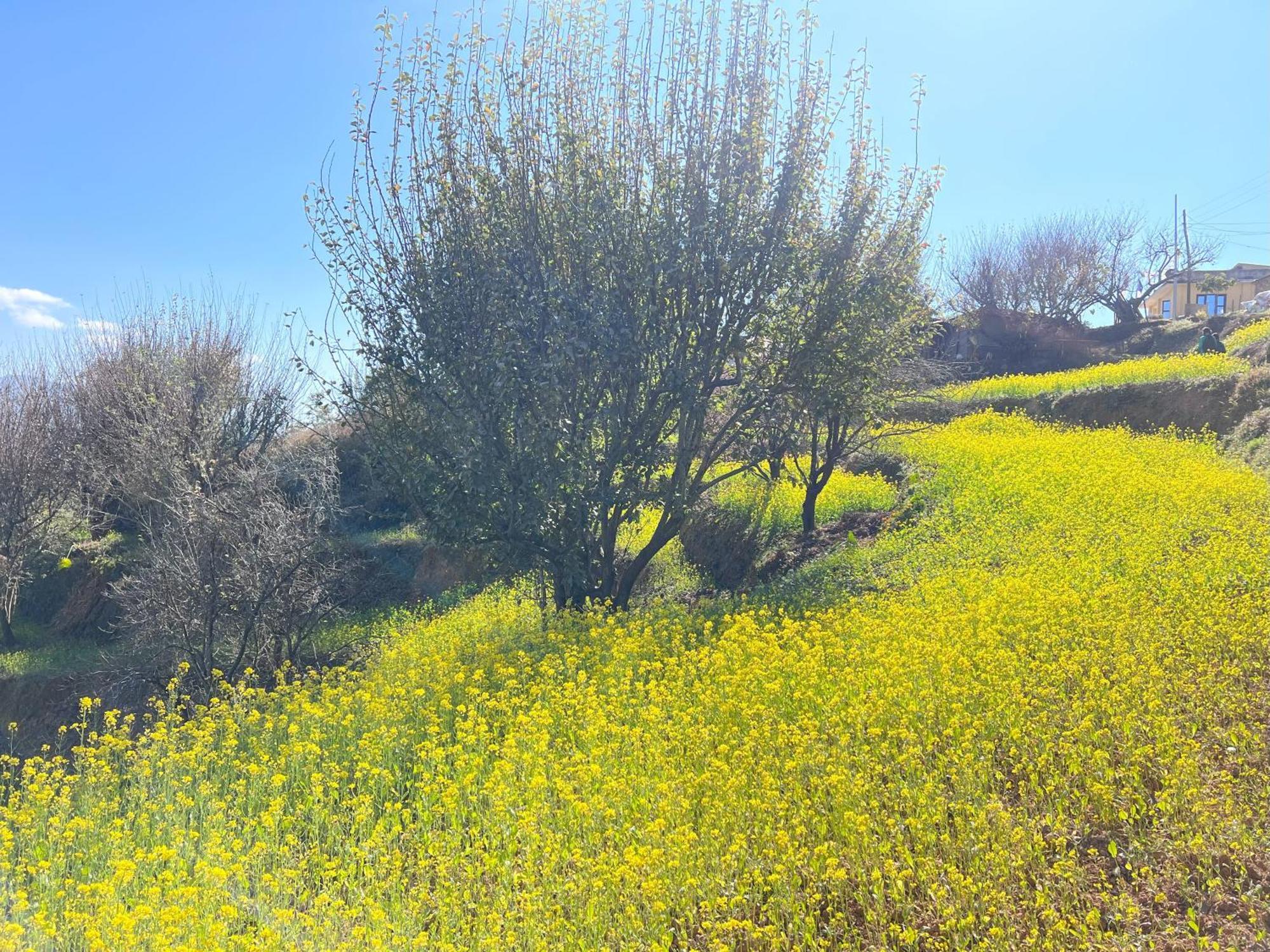 Farm stay Joy Source *