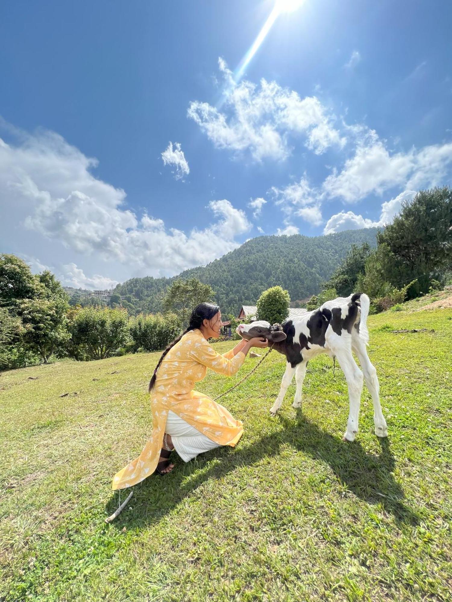 Farm stay Joy Source
