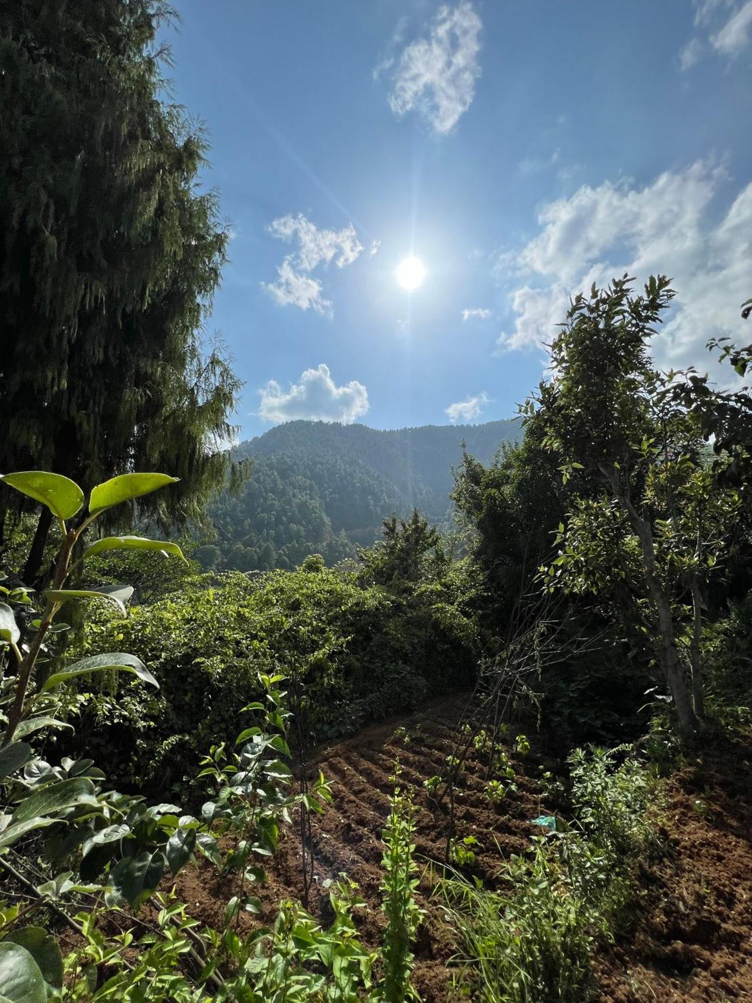 Joy Source Farm stay Kathmandu