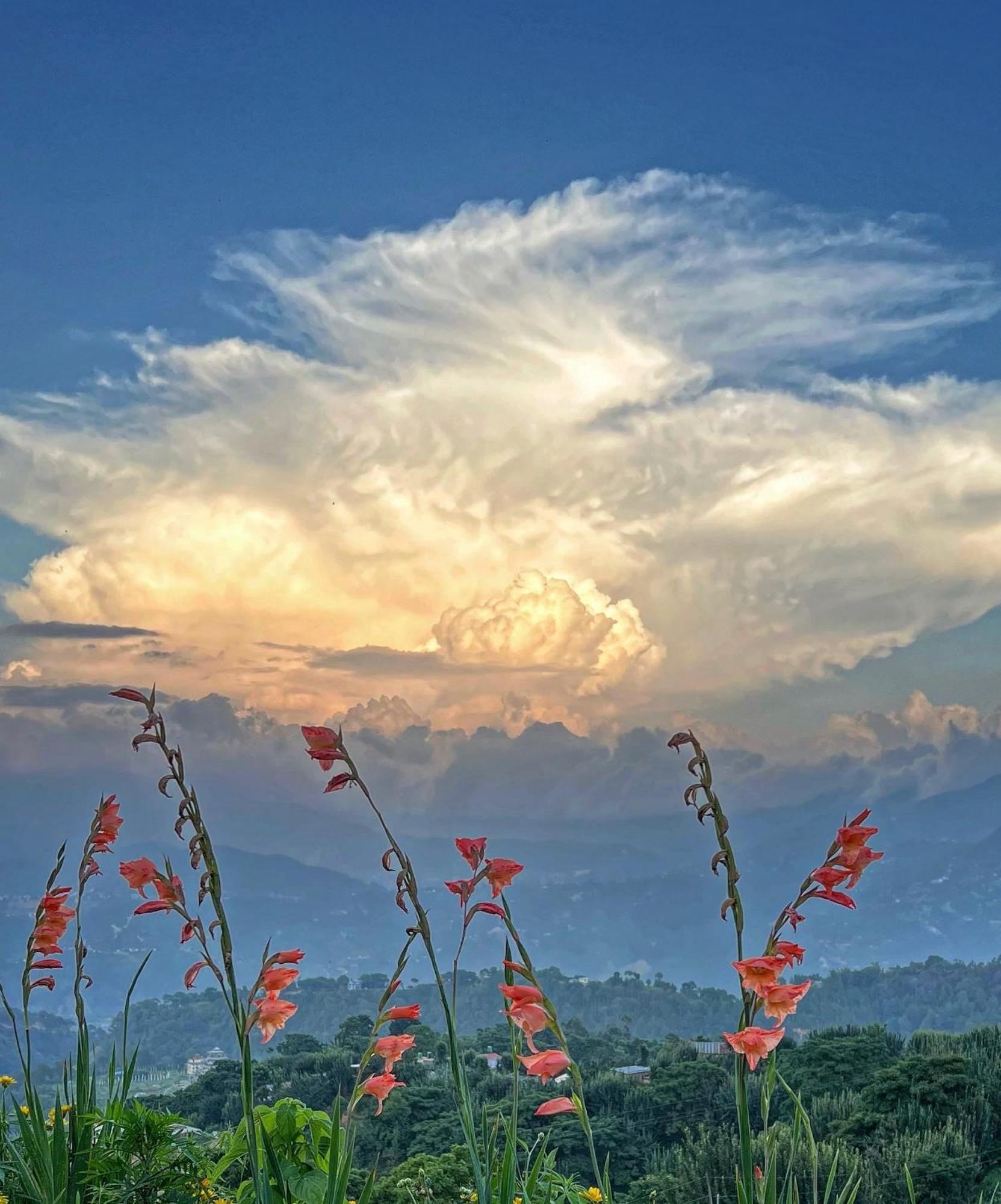 Farm stay Joy Source Kathmandu