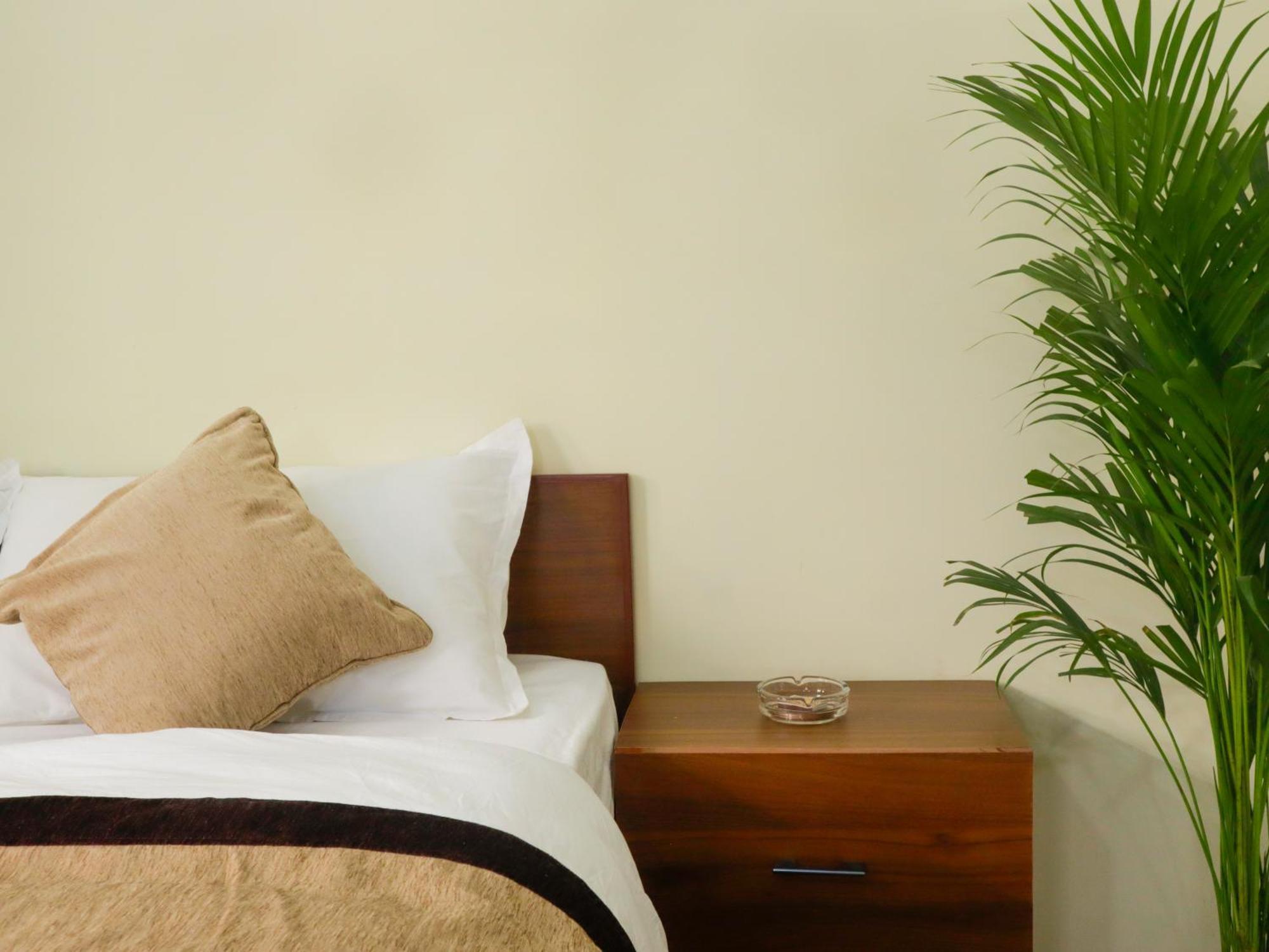 Zen Nest Guest house *
