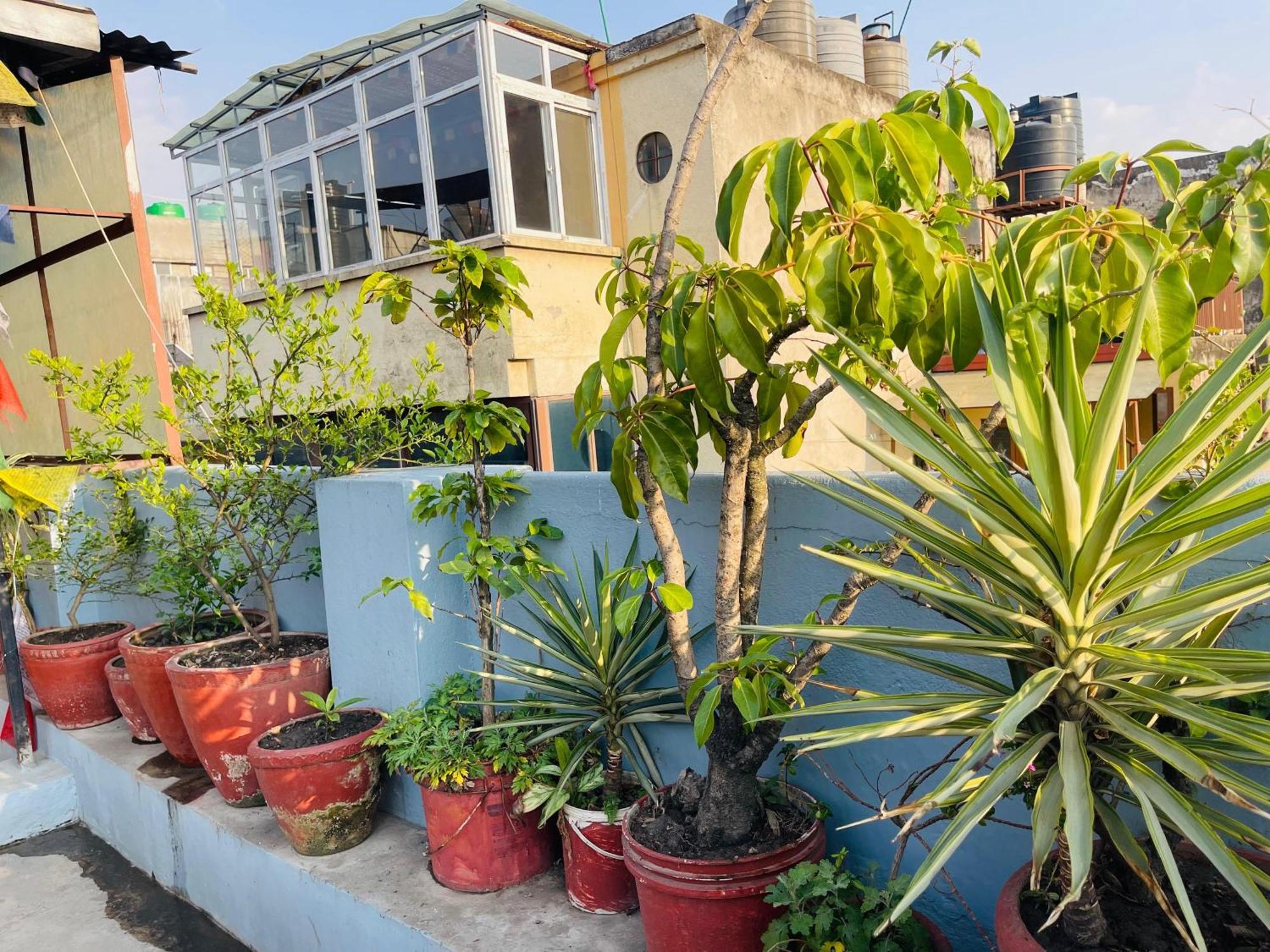 Bed & Breakfast Holy Land Nepal