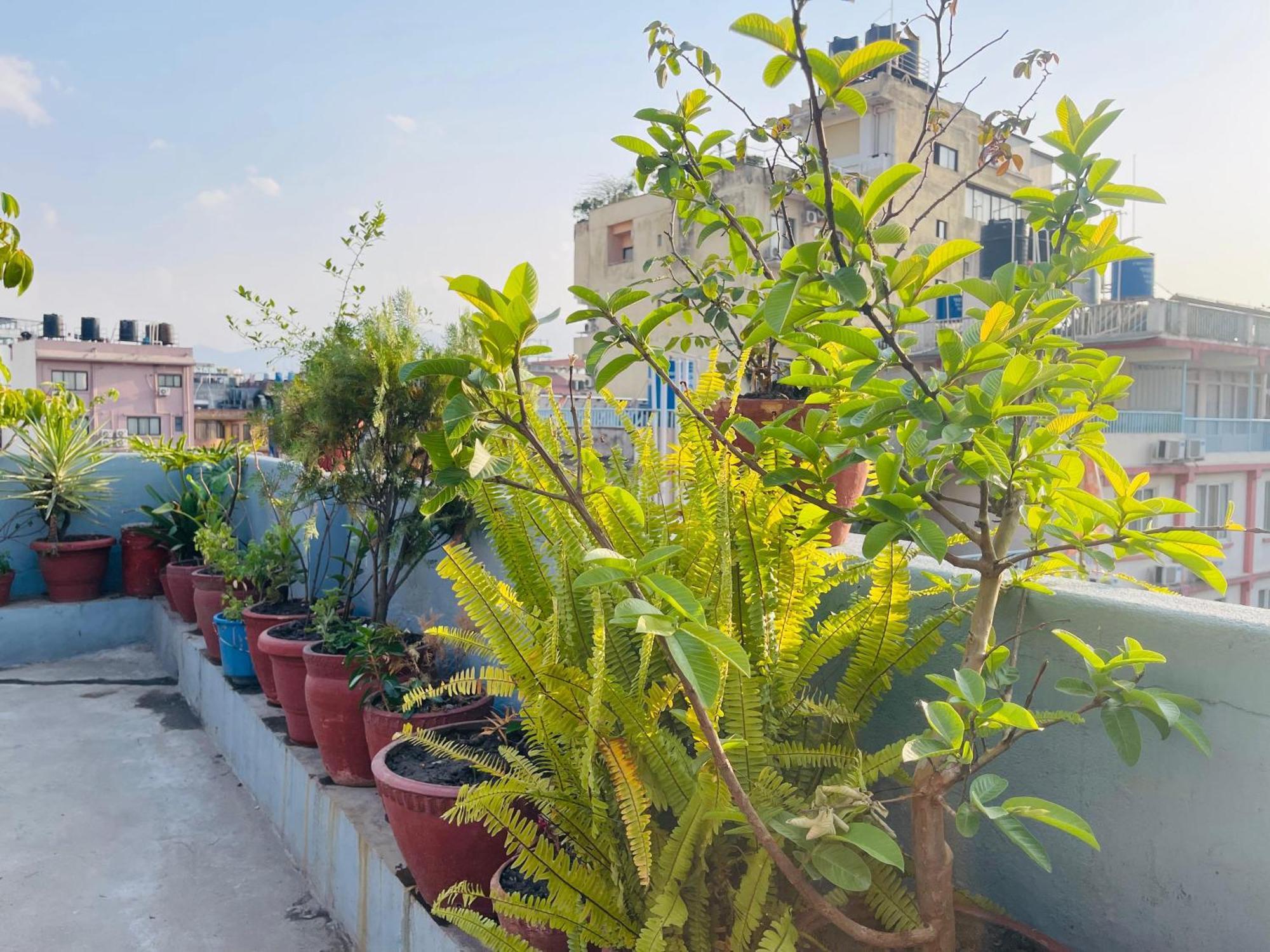 Bed & Breakfast Holy Land Nepal 2*