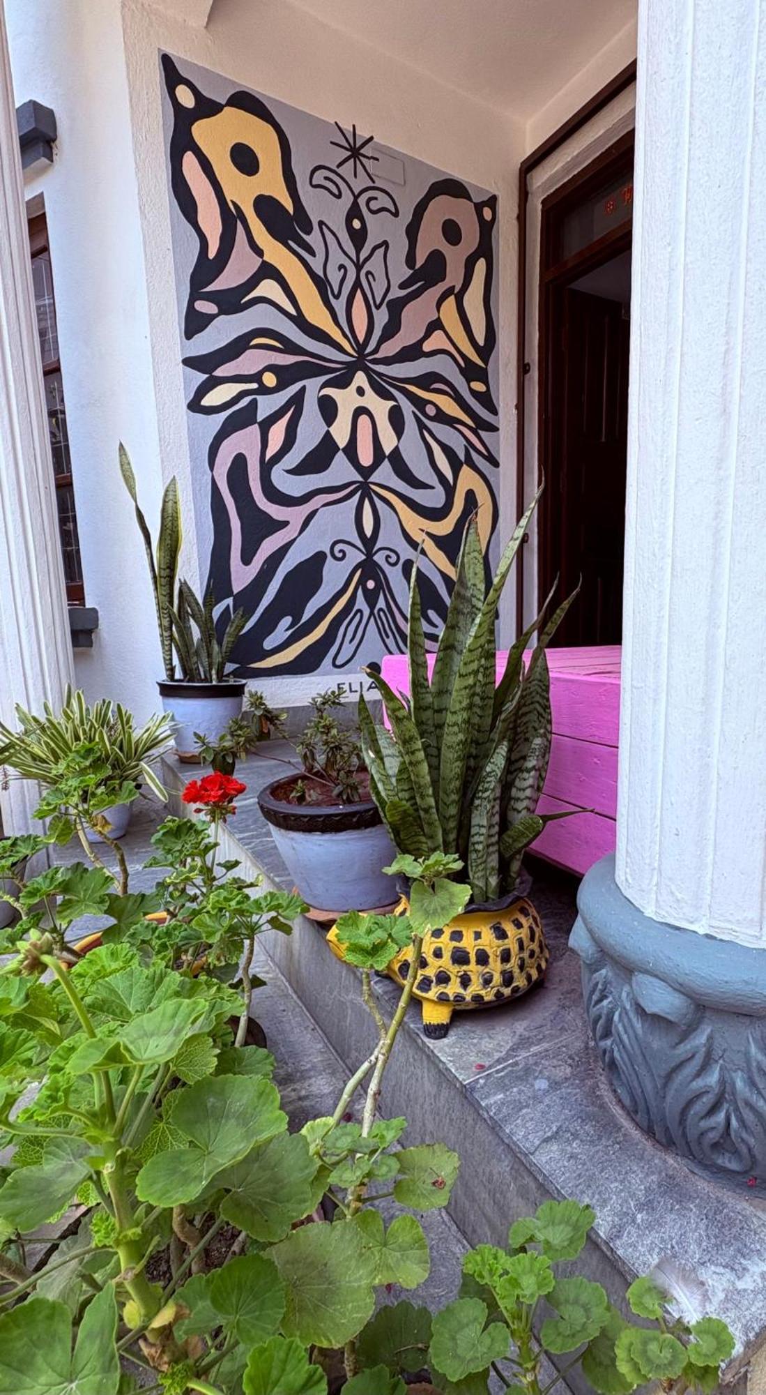Homestay Drakon Nest