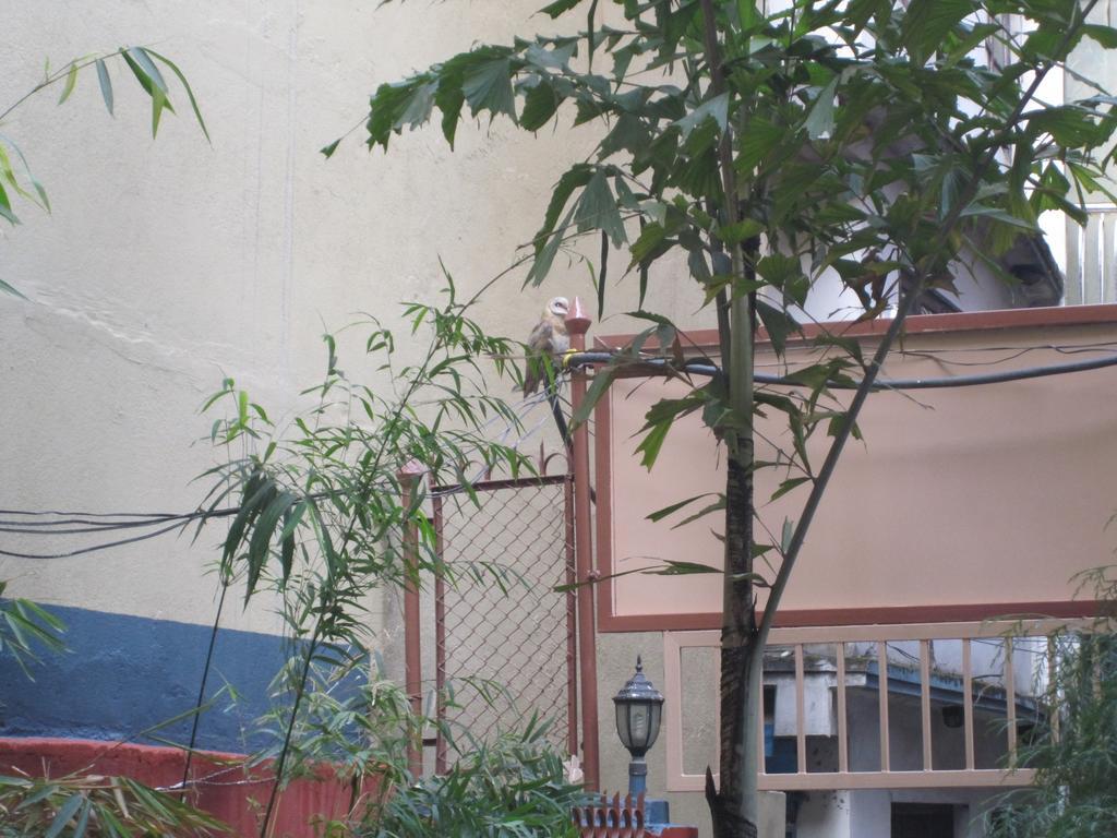 Tasi Dhargey