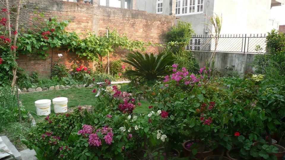 Nagarjun Homestay