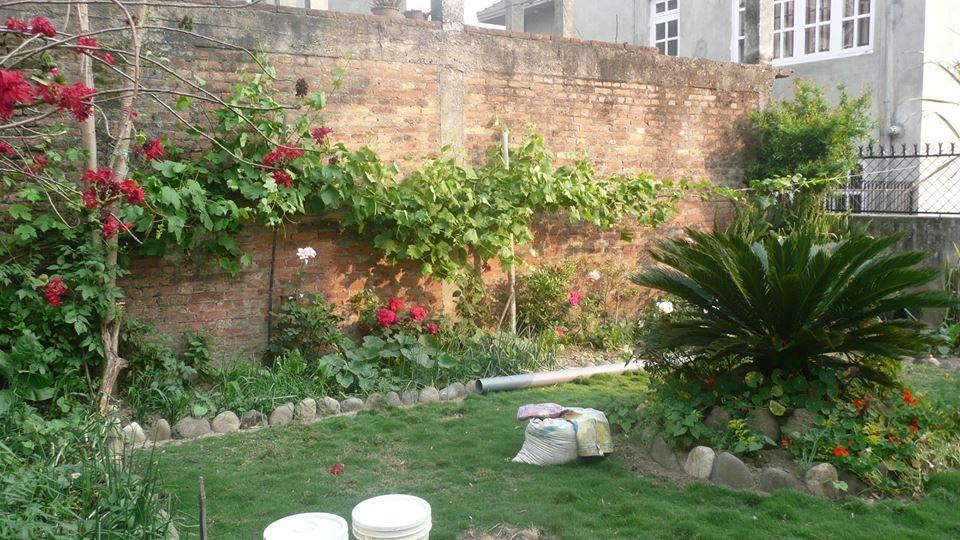 Nagarjun Homestay *