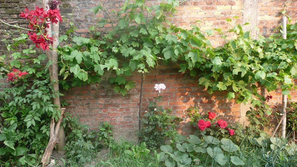 Homestay Nagarjun Kathmandu