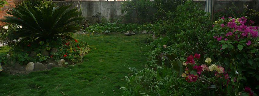 Homestay Nagarjun *