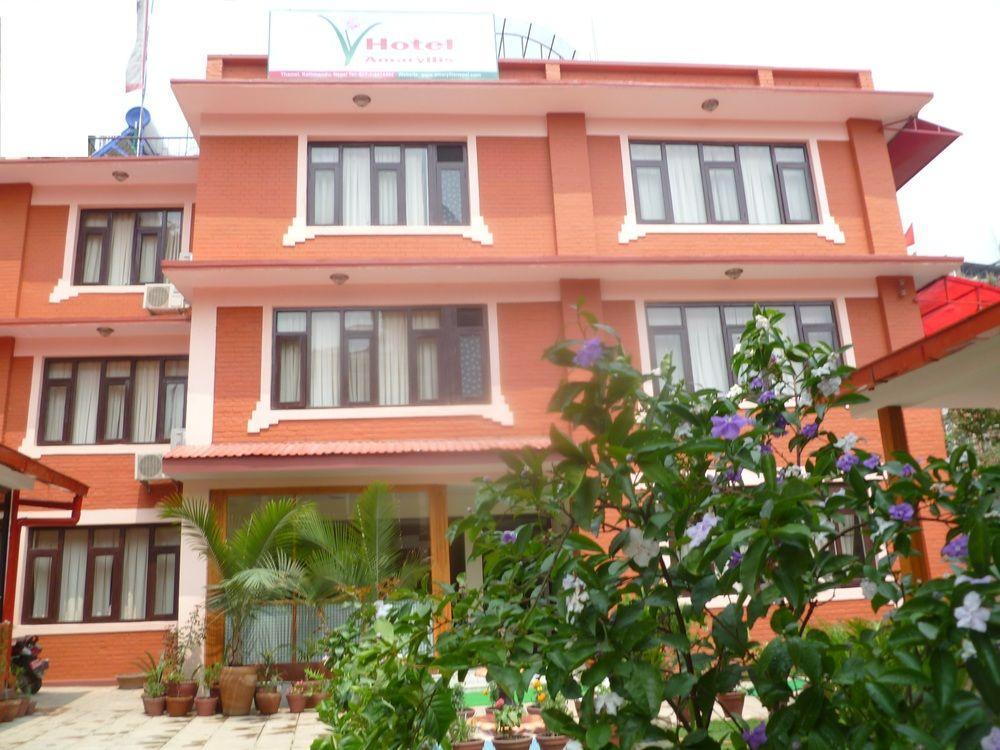 Amaryllis Kathmandu