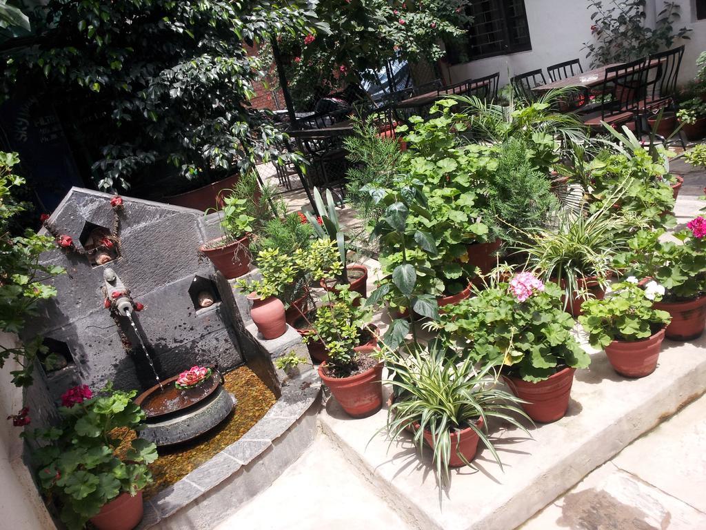 Peace N Park Bed & Breakfast