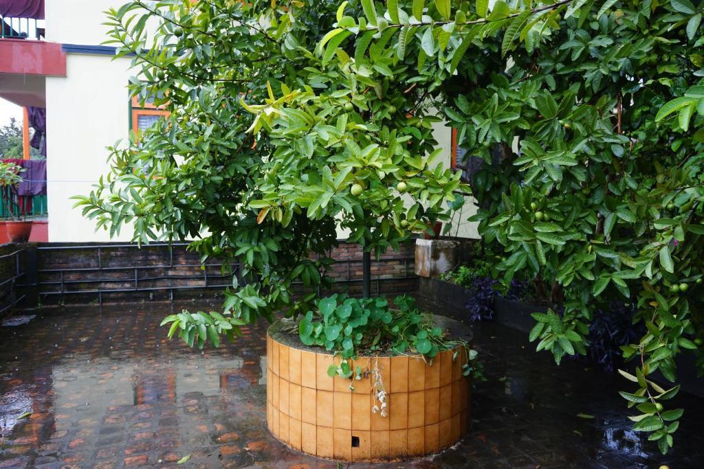 Bed & Breakfast Happiness 1 Kathmandu