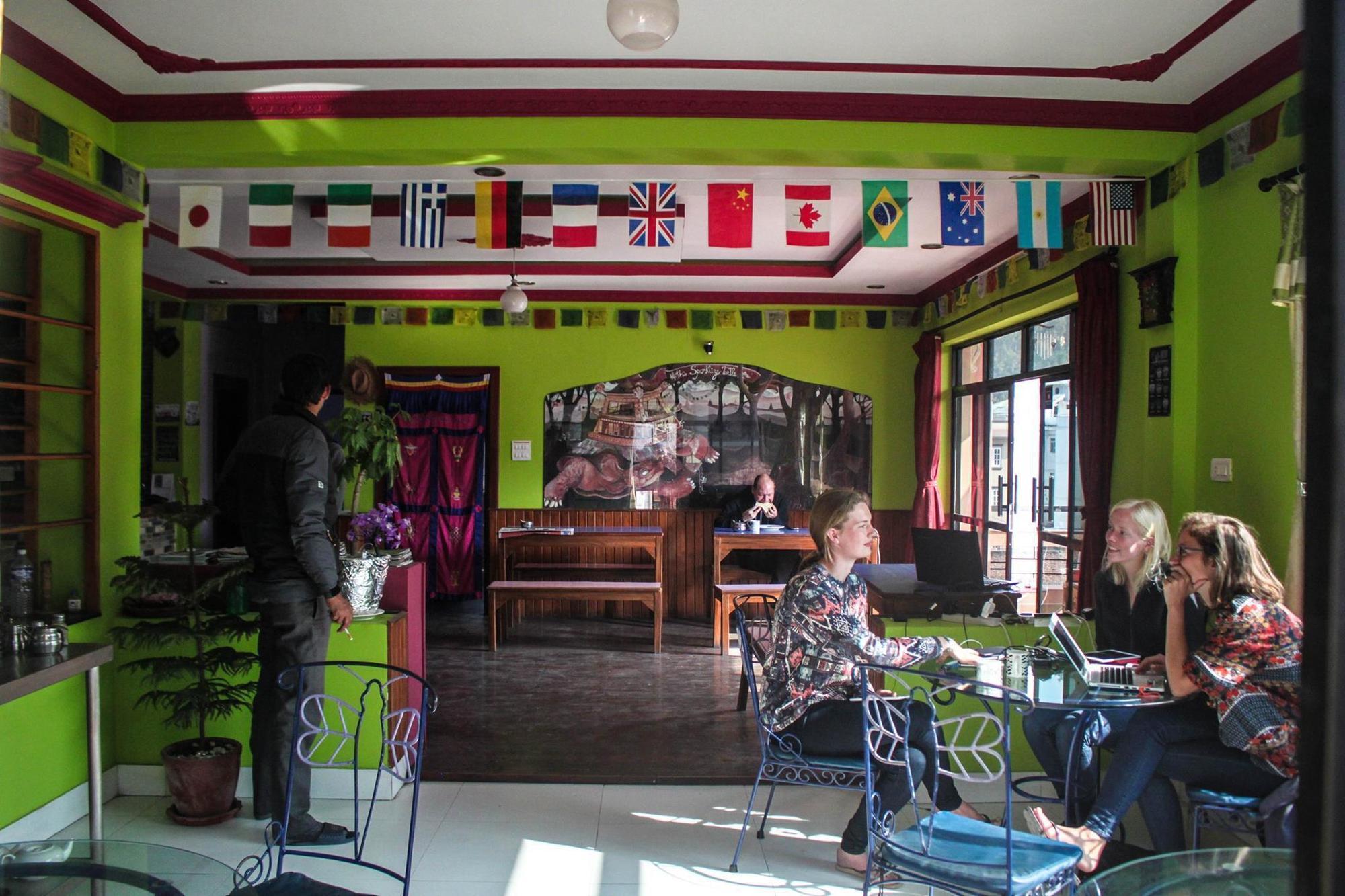Hostel The Sparkling Turtle Backpackers
