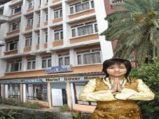 Hotel Silver