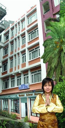 Hotel Silver *