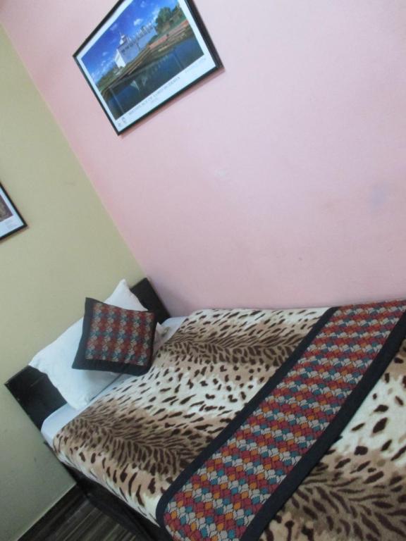 Budget Multiplex * Kathmandu