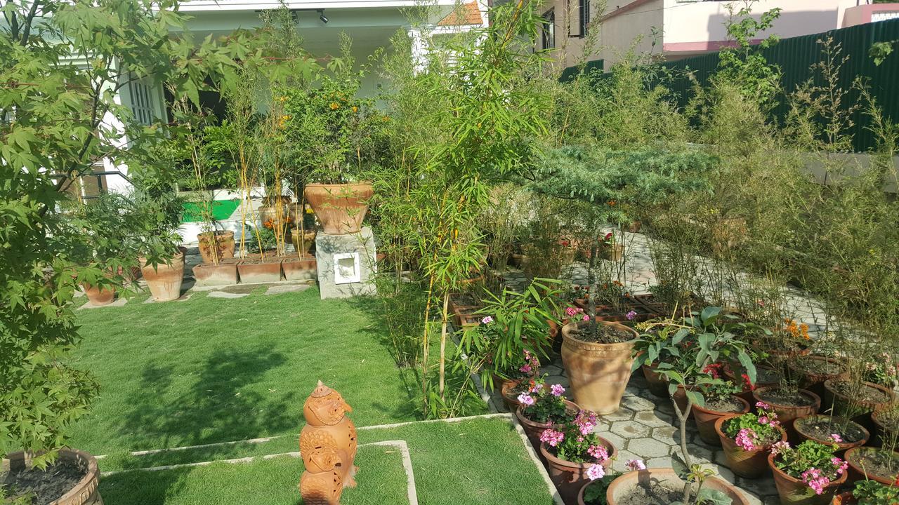 Hostel City Garden *
