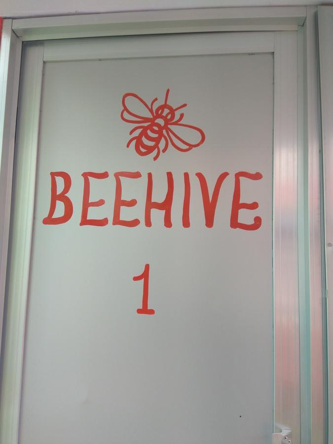 Beehive Hostel
