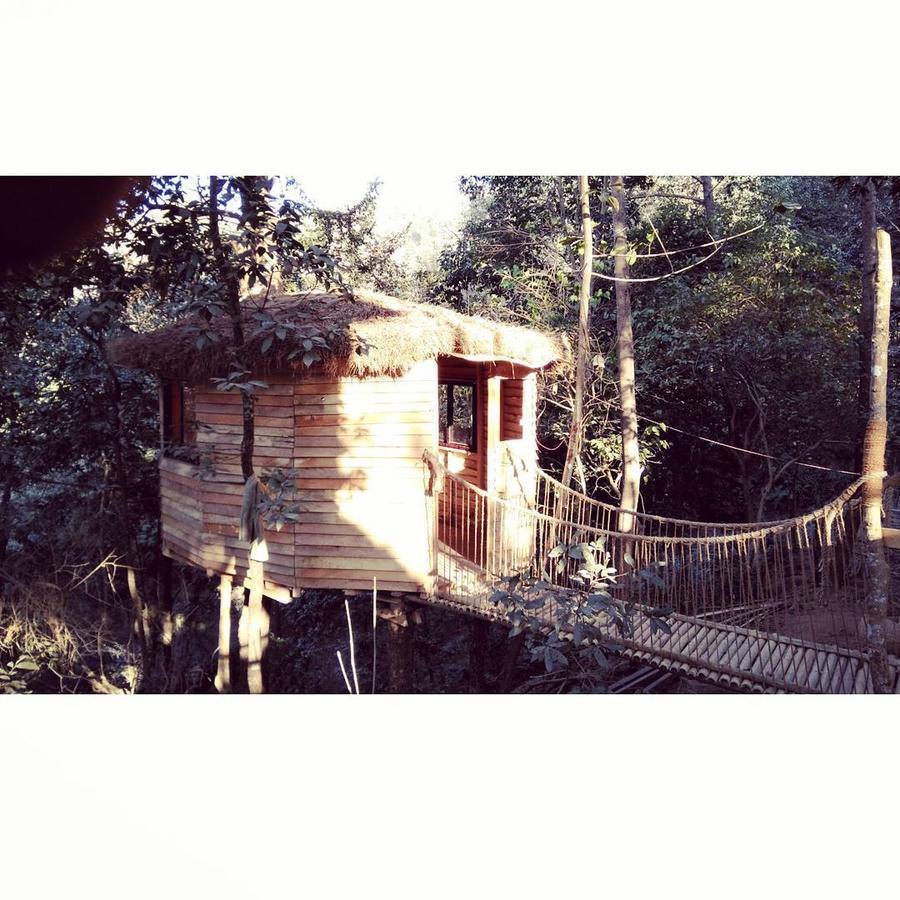 Bunjungle Adventures Tempat peranginan