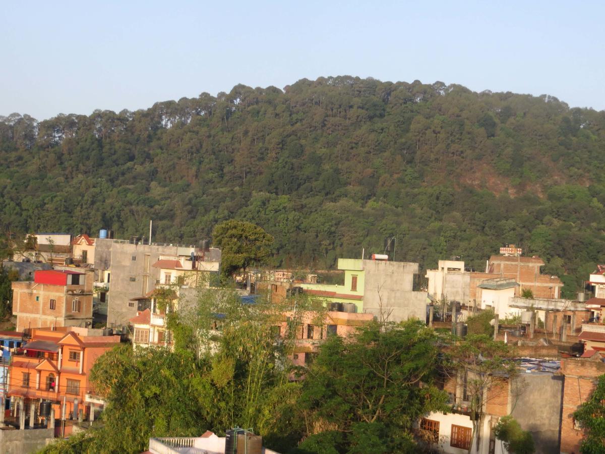 Manamaiju And Homestay