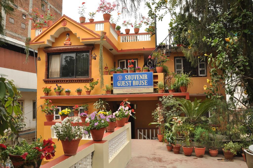 Souvenir Guest house *
