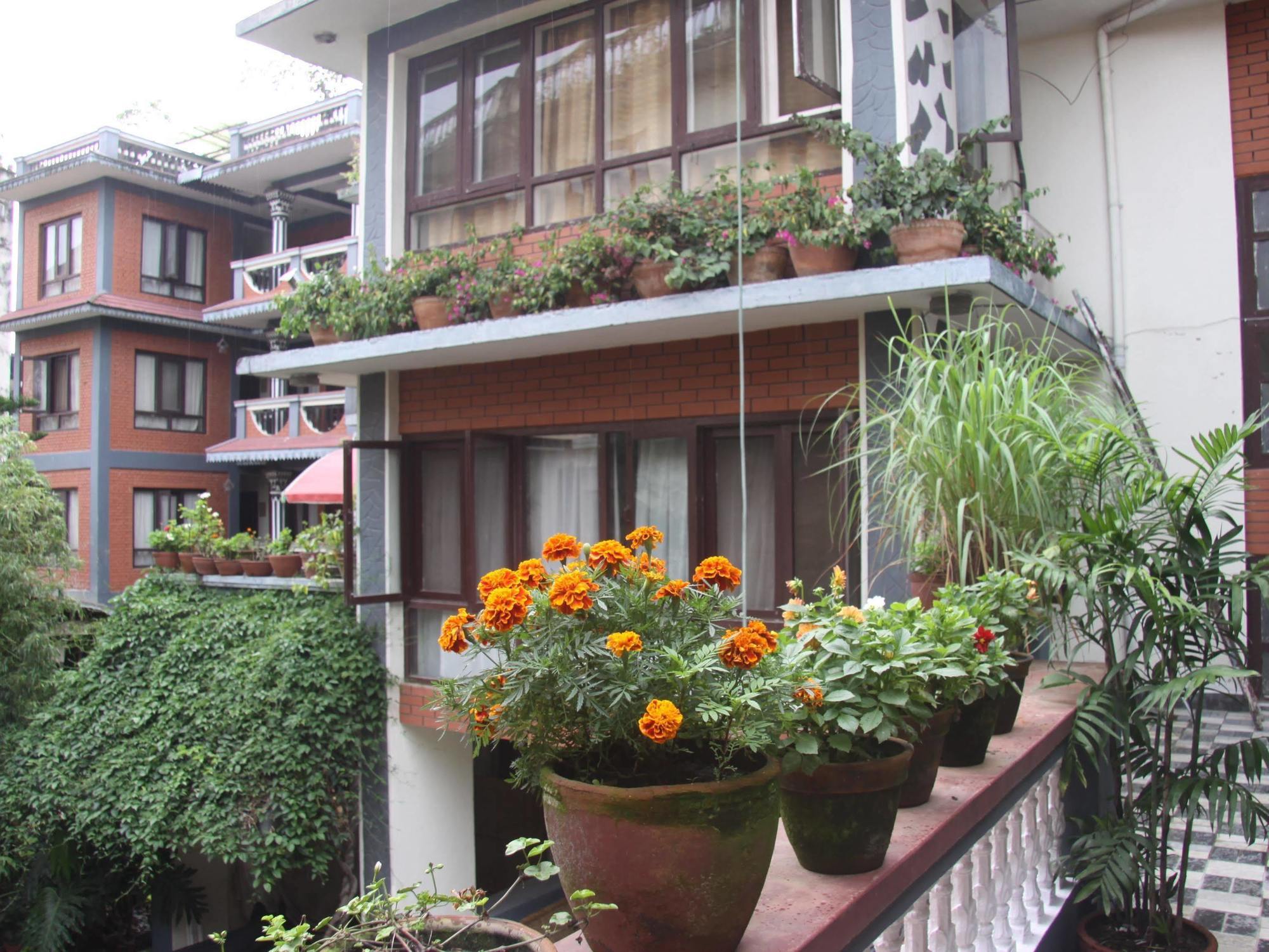Hotel Green Hotel 3*