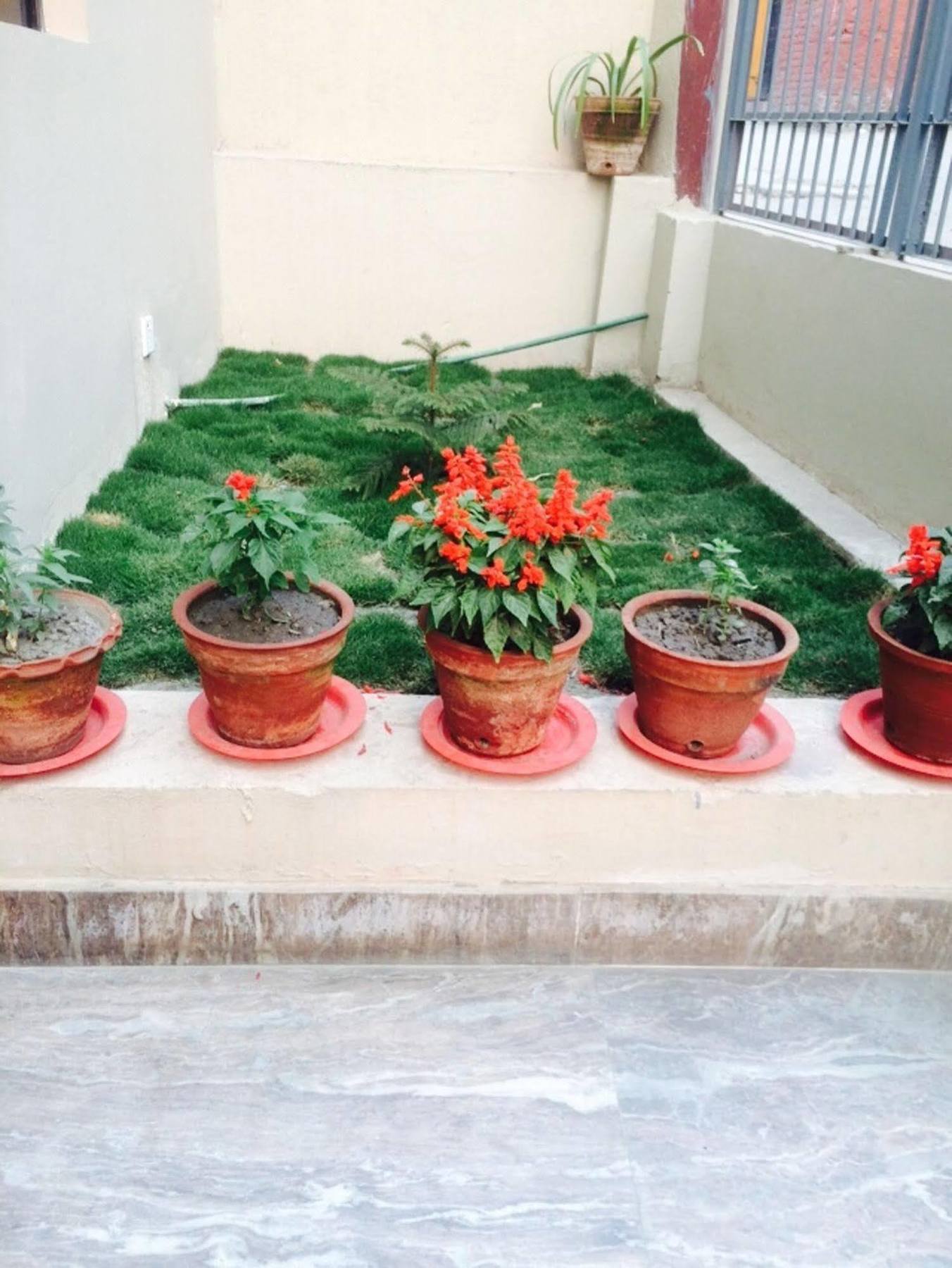 Sunny Hotel Kathmandu