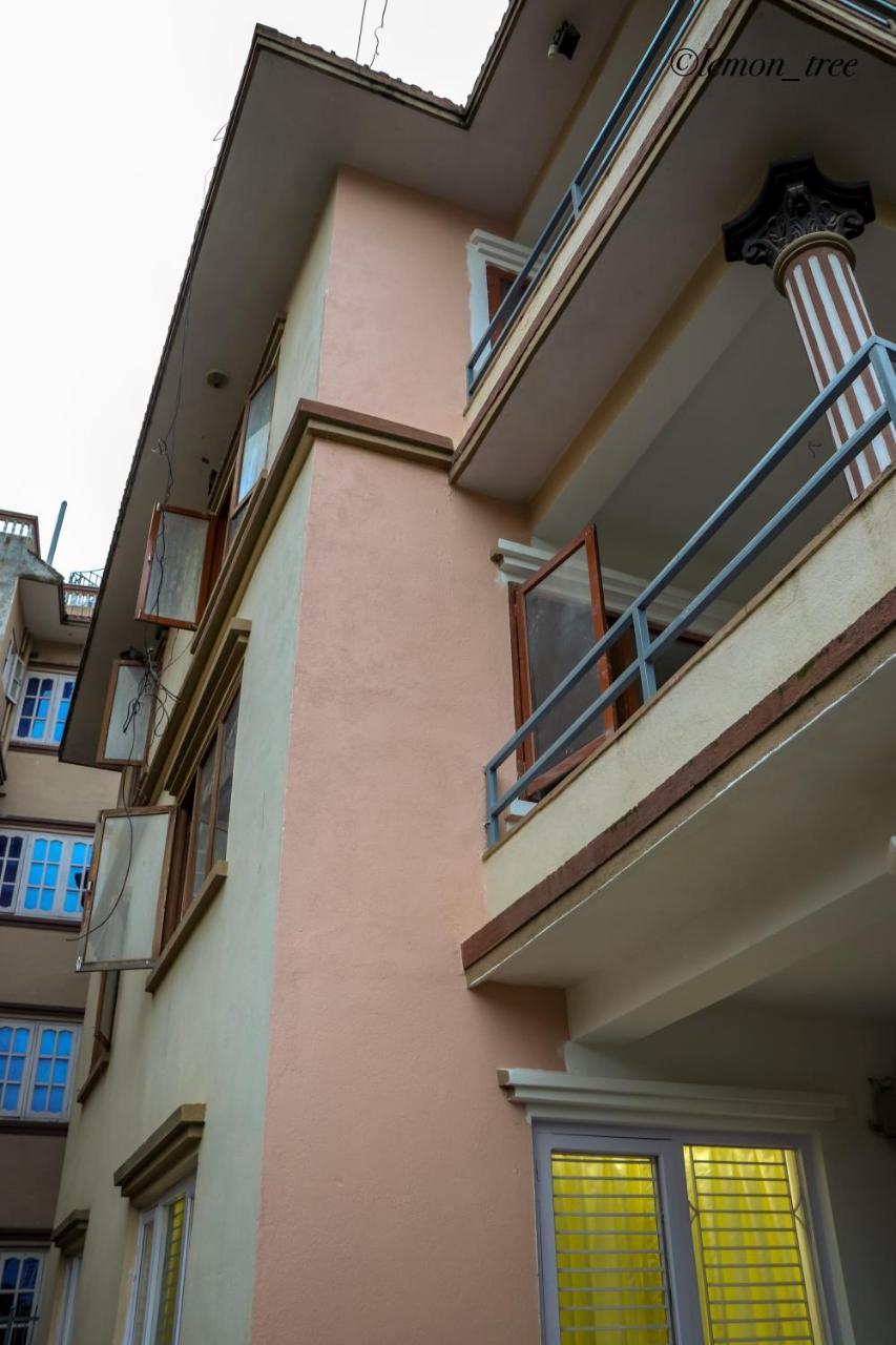 Lemon Tree & Home-stay Apartamento