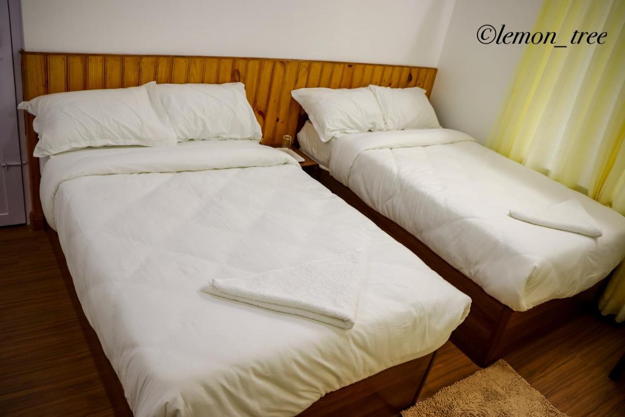 Apartamento Lemon Tree & Home-stay *