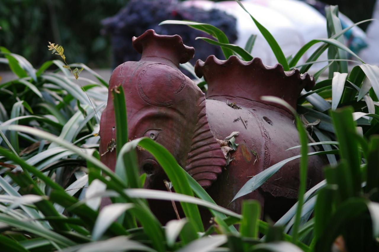 Laughing Buddha & Garden Theater * Kathmandu