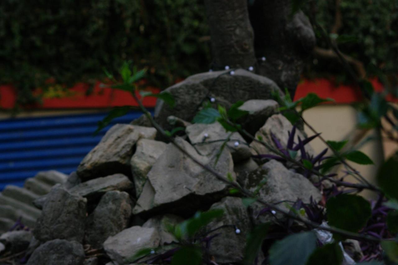 Laughing Buddha & Garden Theater Guest house *