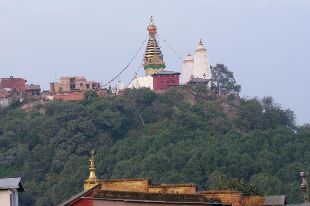 Laughing Buddha & Garden Theater