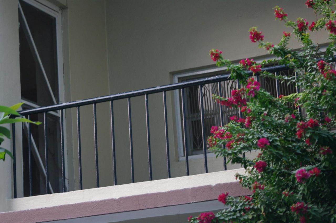 Guest house Laughing Buddha & Garden Theater Kathmandu