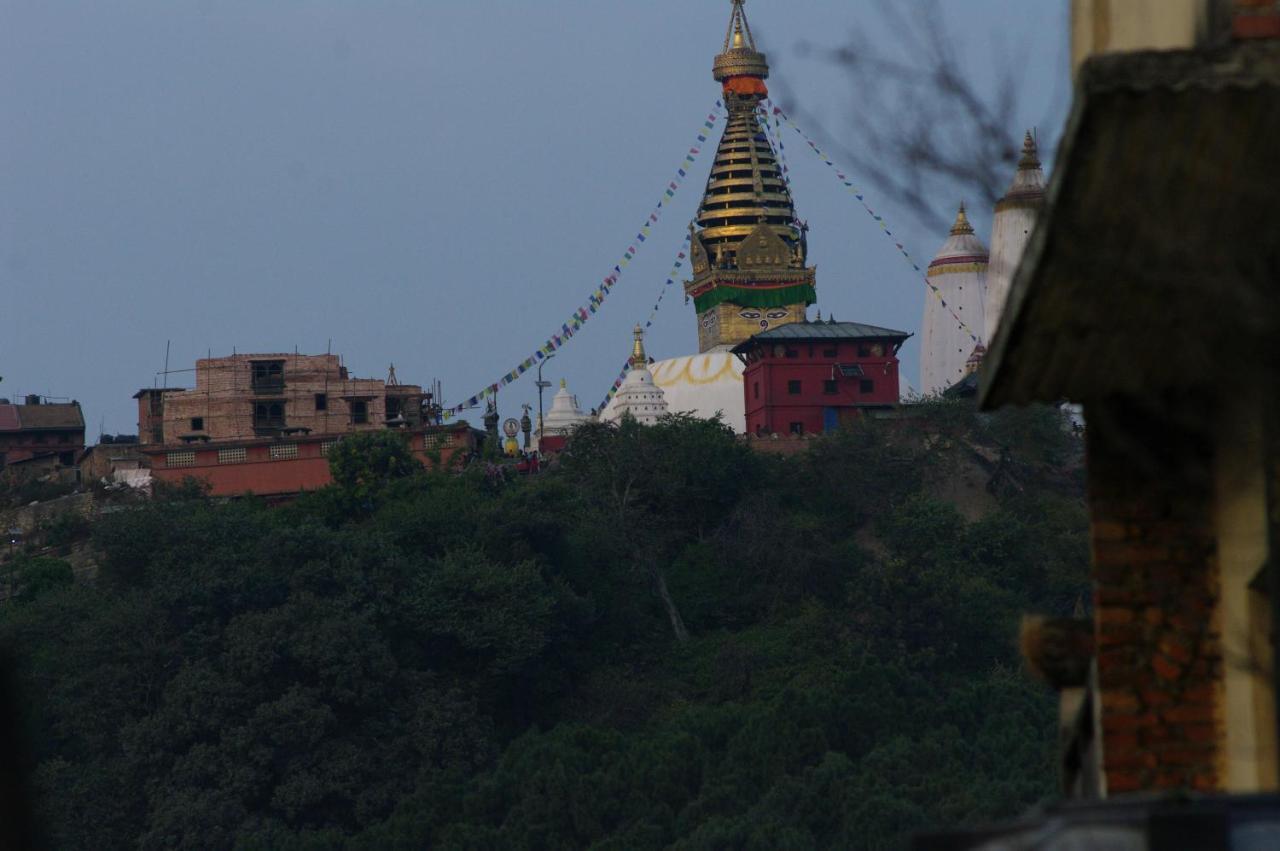 Laughing Buddha & Garden Theater Guest house