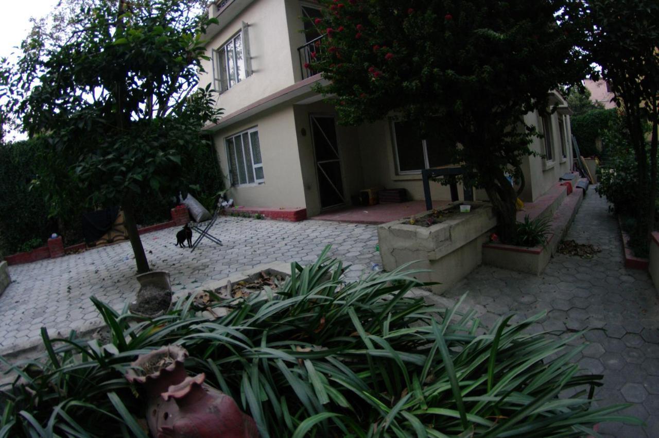 Laughing Buddha & Garden Theater Guest house