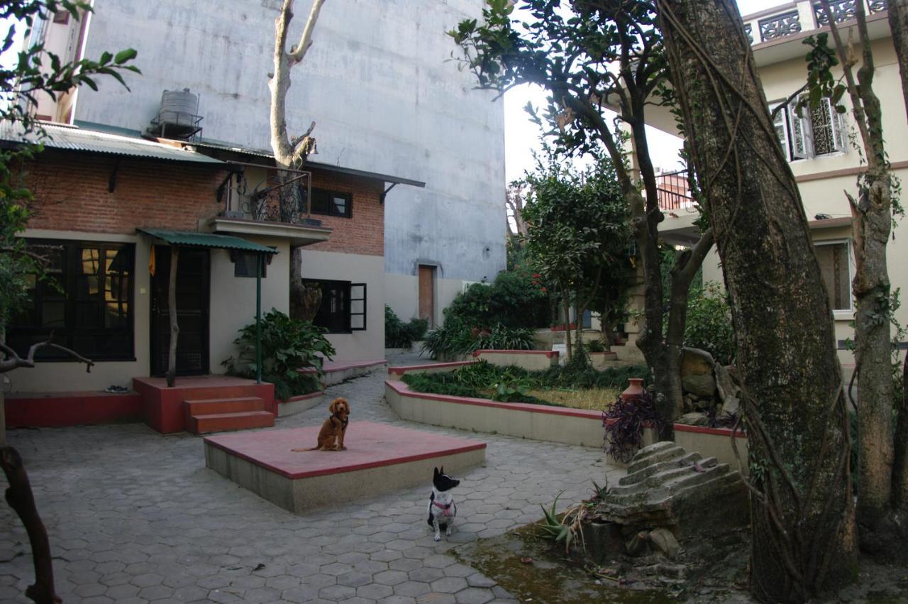 Guest house Laughing Buddha & Garden Theater Kathmandu