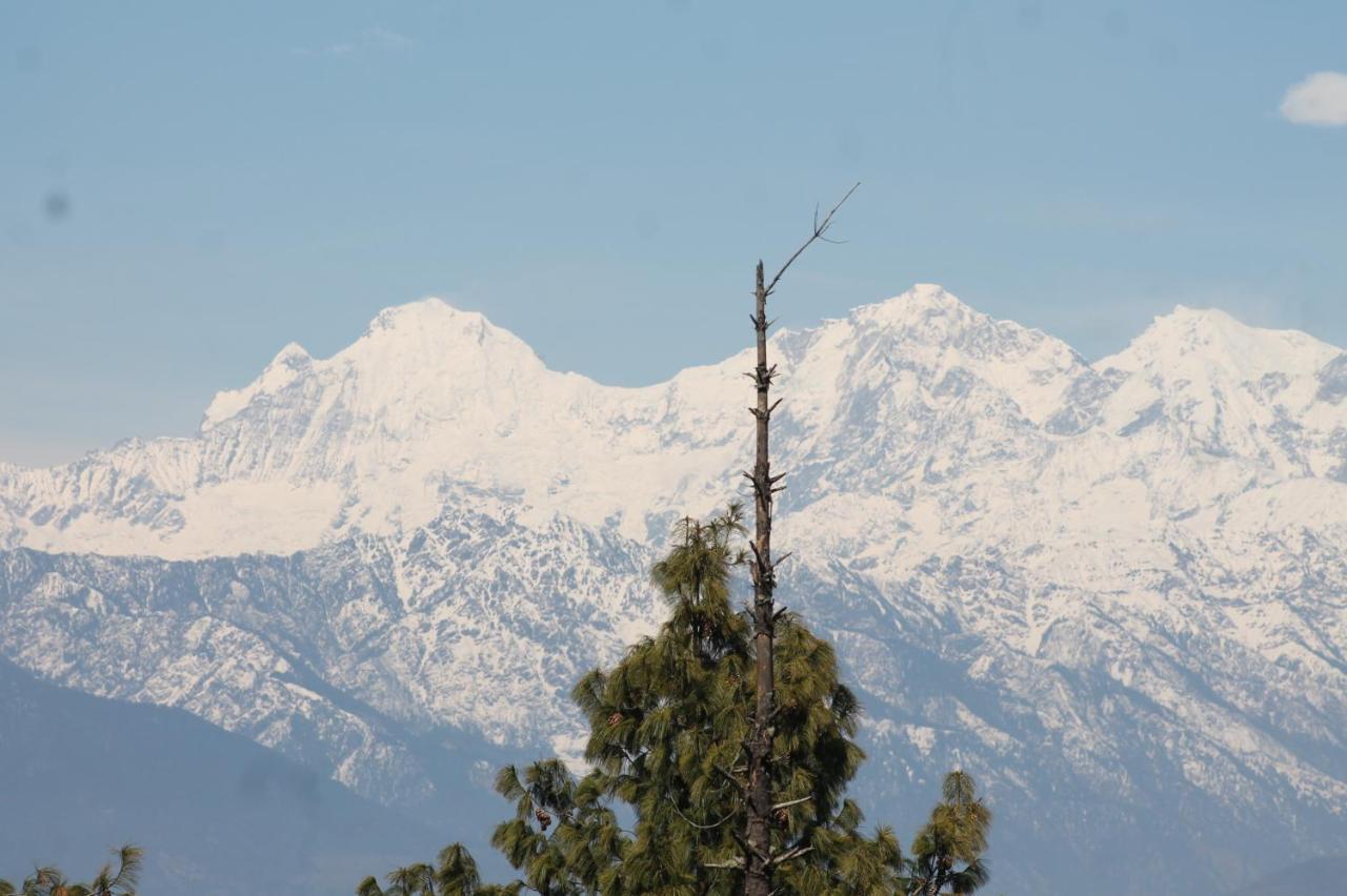 Hotel View Himalaya