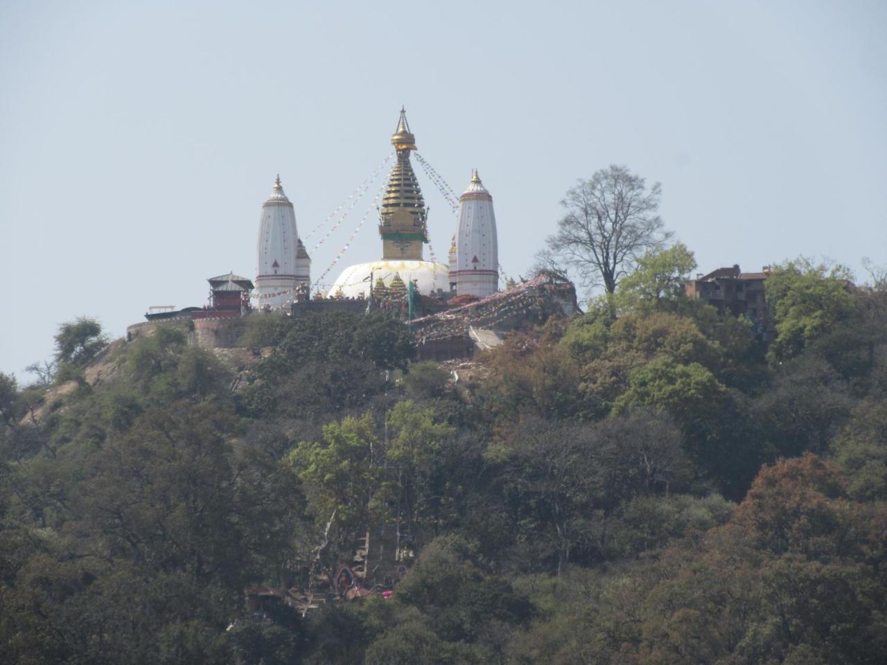 Stupa View Guest house 2*